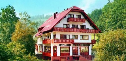 Hotel-Pension-Café Waldschlößchen